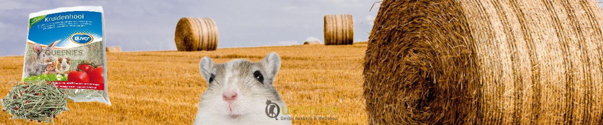 Tomaten hooi voor Gerbils en knaagdieren